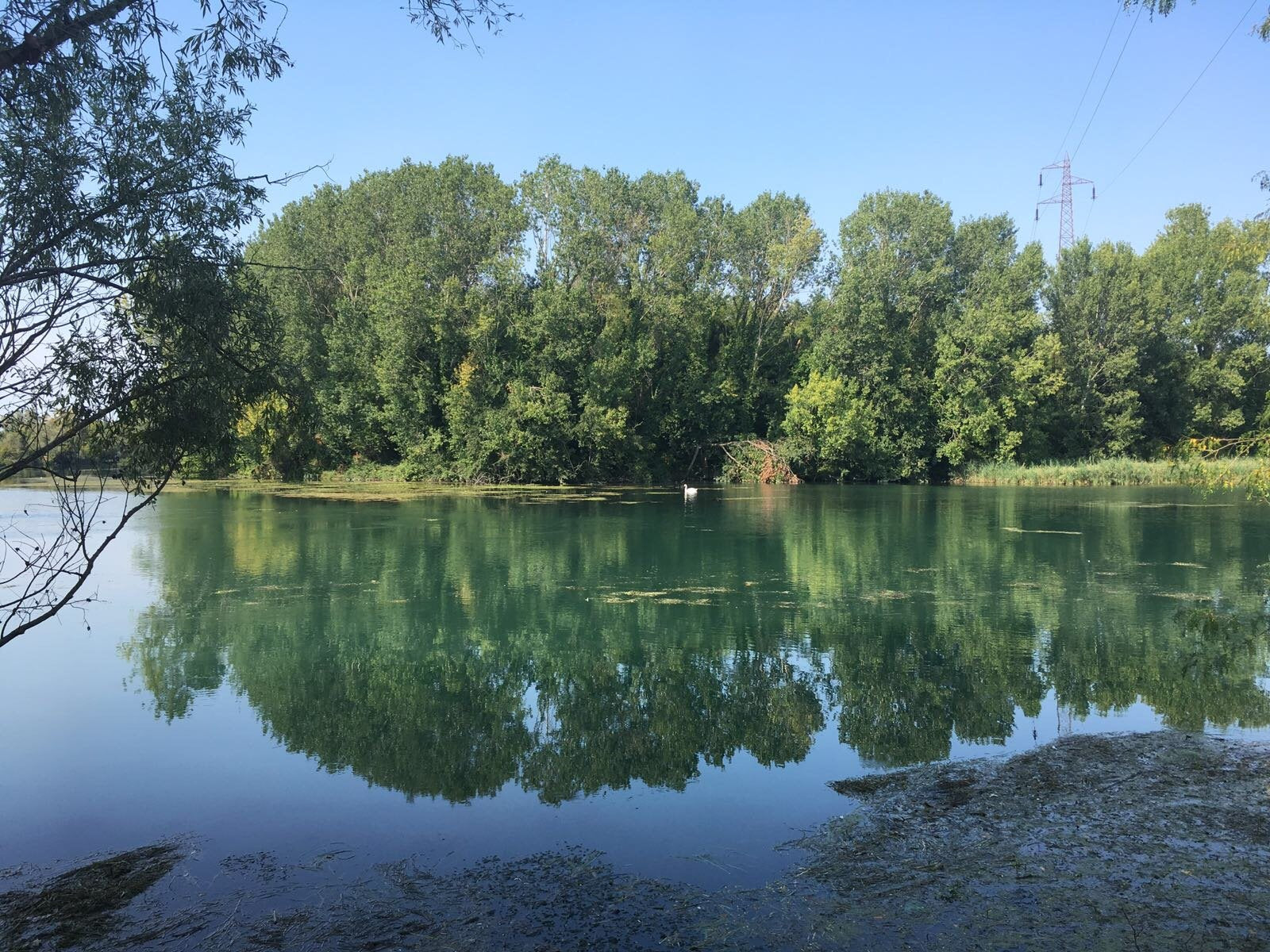 Greenway: Da Treviso a Jesolo seguendo il Sile