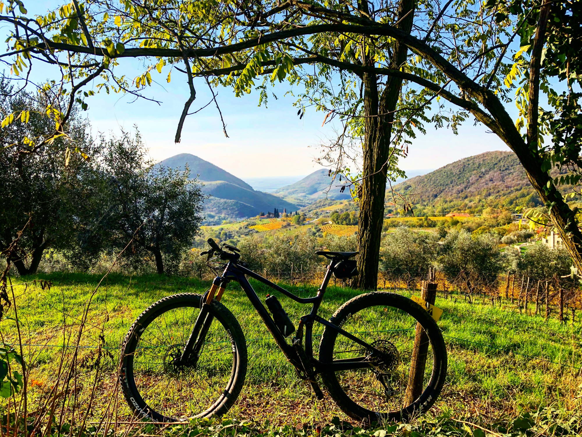 Colli Euganei - Percorso collinare in MTB