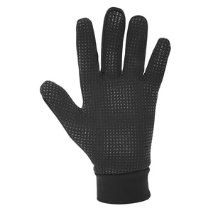 Artic Winter Gloves